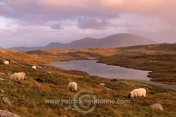 North Harris Hills near Govig, Harris, Scotland - Ecosse - 18628