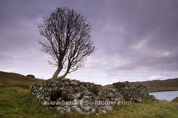 Old blackhouse in ruin, South Harris, Scotland - Ecosse - 18634