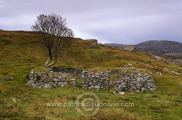 Old blackhouse in ruin, South Harris, Scotland - Ecosse - 18635