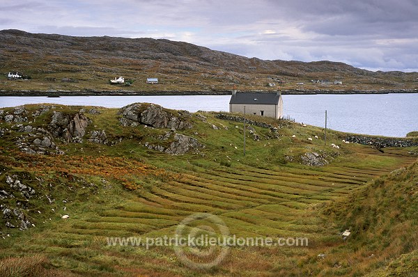 Lazybeds on South Harris, Scotland - Harris, Ecosse -  18636