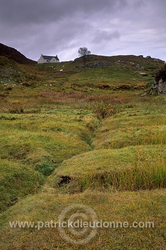 Lazybeds on South Harris, Scotland - Harris, Ecosse -  18637