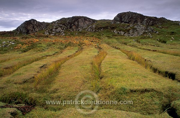 Lazybeds on South Harris, Scotland - Harris, Ecosse -  18638