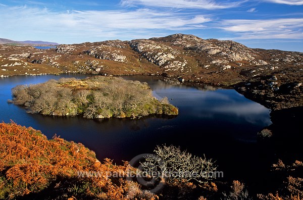 Lochan, trees, South Harris, Scotland - Harris, Ecosse - 18657