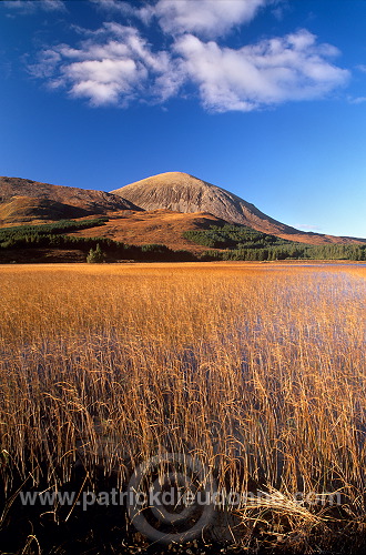 Loch Cill Chriosd, Skye, Scotland - Ecosse - 19290