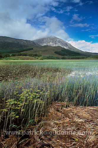 Loch Cill Chriosd, Skye, Scotland - Ecosse - 19291