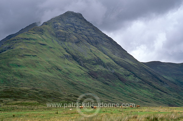 Cuillins range, Belig (702 m), Skye, Scotland - Ecosse - 19328