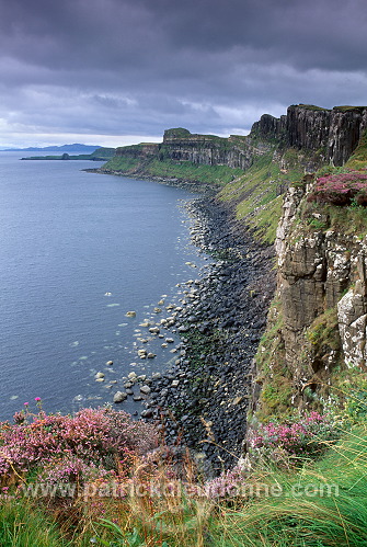 High basaltic cliffs, Skye, Scotland -  Falaises, Ecosse - 19346