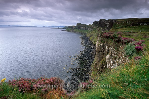 High basaltic cliffs, Skye, Scotland -  Falaises, Ecosse - 19348