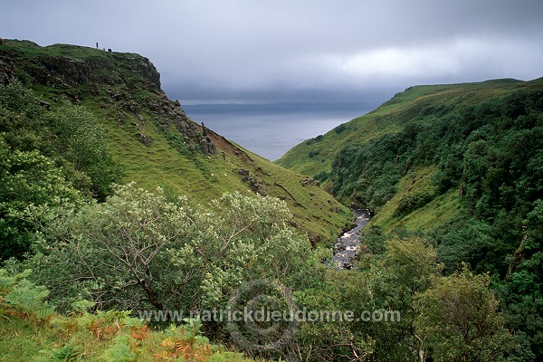 Lealt gorge, Skye, Scotland - Ecosse - 19349