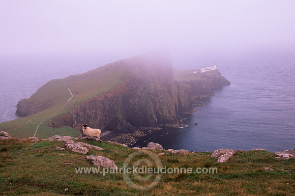 Neist point lighthouse, Skye, Scotland - Skye, Ecosse - 19362