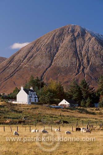 Houses and Red cuillins, Skye, Scotland - Skye, Ecosse - 19386
