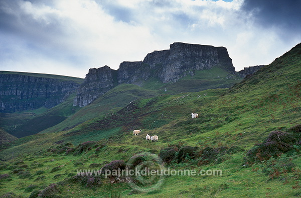 The Quiraing, Skye, Scotland - Le Quiraing, Skye, Ecosse - 19400