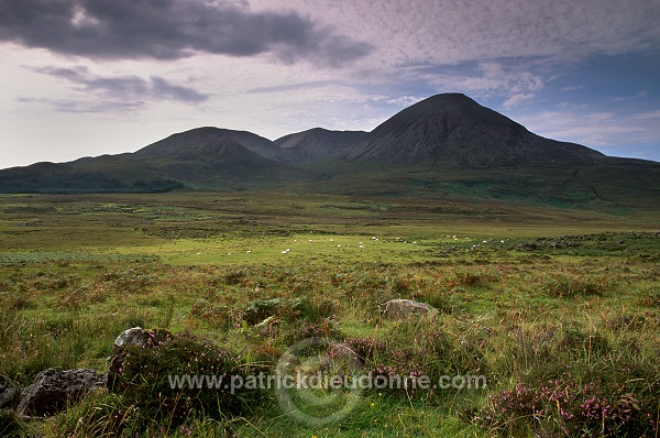 Sgurr Mor, Skye, Scotland - Sgurr Mor, Skye, Ecosse - 19406