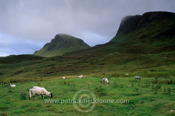 The Quiraing, Skye, Scotland - Le Quiraing, Skye, Ecosse - 19408