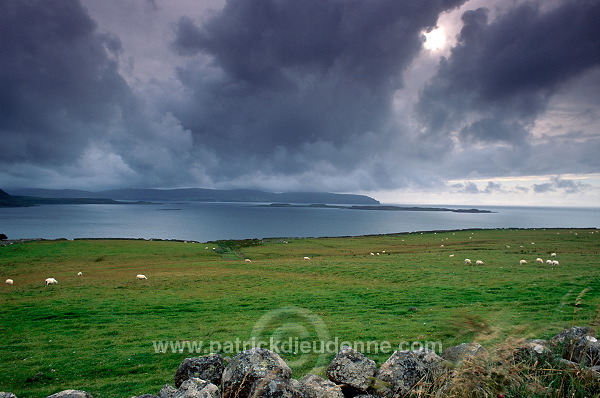 Loch Bay, Waternish peninsula, Skye, Scotland - Ecosse - 19418
