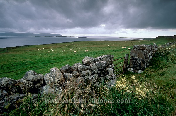 Loch Bay, Waternish peninsula, Skye, Scotland - Ecosse - 19419