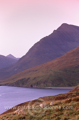 Cuillins range and Blaven, Skye, Scotland -  Ecosse - 19425