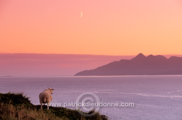 Rum island and sheep, from Skye, Scotland - Rum, Ecosse - 19427