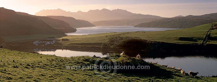 Loch Harport & Cuillins, Skye, Scotland - Loch Harport et Cuillins, Skye, Ecosse  15903