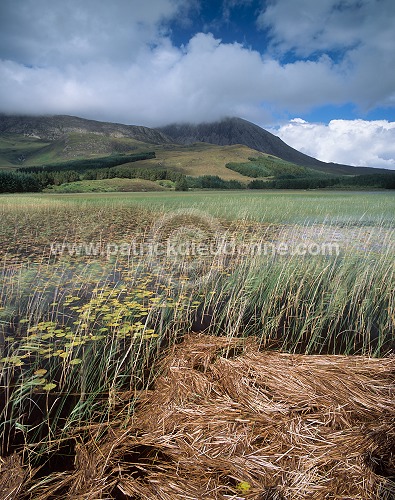 Loch Cill Chriosd, Skye, Scotland - Loch Cill Chriosd, Skye, Ecosse  15916