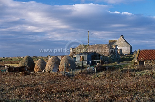 Crofting land, South Uist, Scotland - South Uist, Ecosse - 18789