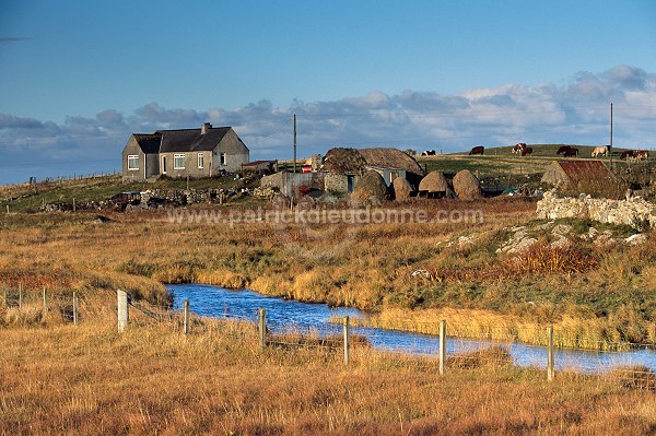 Crofting land, South Uist, Scotland - South Uist, Ecosse - 18792