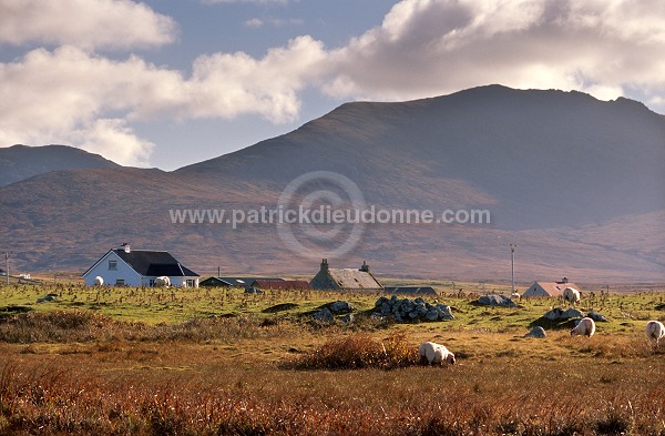 Crofting land, South Uist, Scotland - South Uist, Ecosse - 18793