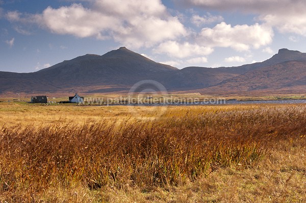 Crofting land, South Uist, Scotland - South Uist, Ecosse - 18794