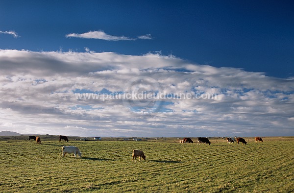 Crofting land, South Uist, Scotland - South Uist, Ecosse - 18795