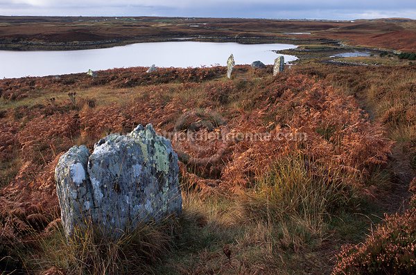 Pobull Fhinn stone circle, Uist, Scotland - Ecosse - 18806