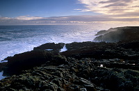 Butt of Lewis rocky coast, Scotland -  Lewis, Ecosse - 18684