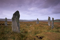 Callanish III, Lewis, Scotland - Lewis, Ecosse - 18701