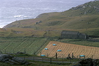 Crofts, west coast, Lewis, Scotland -  Lewis, Ecosse - 18712