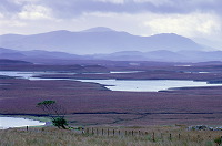 Moorland near Achmore, Lewis, Scotland - Lewis, Ecosse - 18738