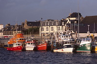 Stornoway harbour, Lewis, Scotland - Lewis, Ecosse - 18743