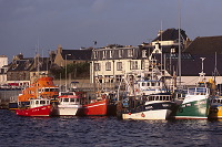 Stornoway harbour, Lewis, Scotland - Lewis, Ecosse - 18743