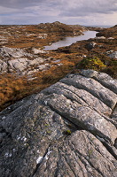 Lewisian gneiss, Lewis, Scotland - Lewis, Ecosse - 18776