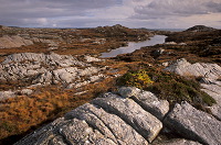 Lewisian gneiss, Lewis, Scotland - Lewis, Ecosse - 18777