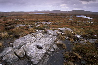 Lewisian gneiss, Lewis, Scotland - Lewis, Ecosse - 18778