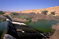 Site - Al Ansab lagoons - birdwatching site - Site d'observation