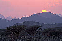 Khatmat Milahah plains, Hajar mountains at sunset, OMAN  (OM10239)