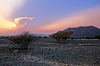 Khatmat Milahah plains, Hajar mountains at sunset, OMAN  (OM10251)