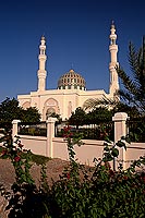 Mosque near Rustaq - Mosquée près de Rustaq, OMAN (OM10022)