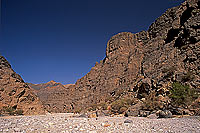 Wadi in eastern Hajar, S. of Muscat -wadi, Hajar oriental, Oman (OM10267)