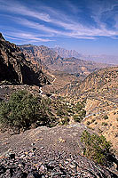 Wadi Bani Awf, Djebel Akhdar - Vallée Bani Awf, OMAN (OM10216)