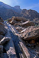 Wadi Bani Awf, Djebel Akhdar - Vallée Bani Awf, OMAN (OM10218)