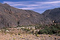 Hat, Wadi Bani Awf, Djebel Akhdar - Village de Hat, OMAN (OM10224)