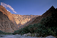 Wadi Bani Awf, Djebel Akhdar - Vallée Bani Awf, OMAN (OM10364) Wadi Bani Awf, Djebel Akhdar - Vallée Bani Awf, OMAN (OM10364)