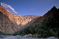 Wadi Bani Awf, Djebel Akhdar - Vallée Bani Awf, OMAN (OM10364)