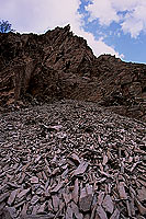 Wadi Bani Awf, Djebel Akhdar, erosion - Vallée Bani Awf, OMAN (OM10366)